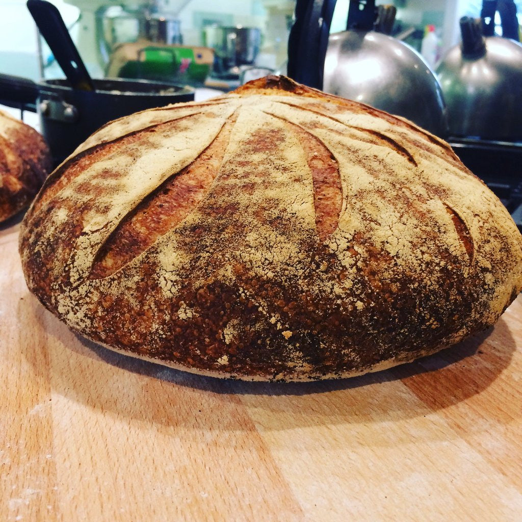 The Story of the Sourdough...