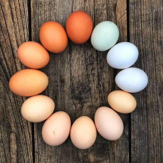 We've got eggs!